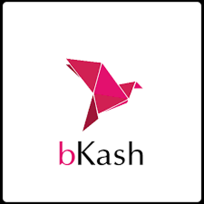 Picture of NopCommerce bKash Payment Plugin